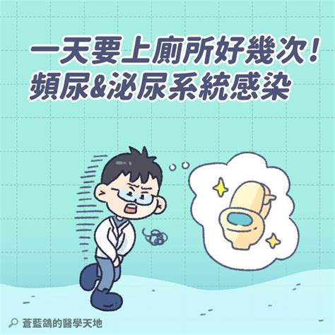 經常想去廁所|常上廁所？小心泌尿系統出問題！